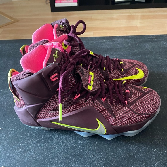 lebron shoes old